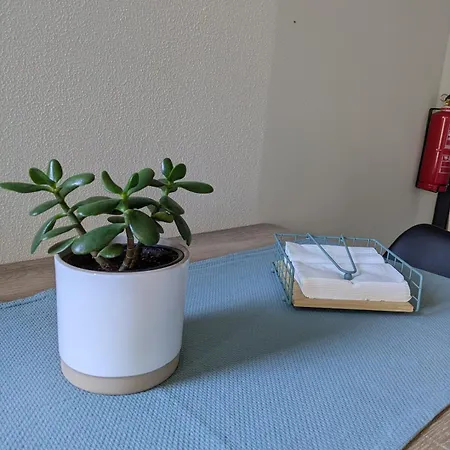Monte Gordo * 里贝拉布拉瓦
