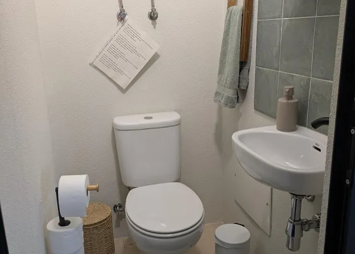 Monte Gordo * Ribeira Brava